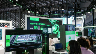 L'IA "acc&eacute;l&egrave;re la crise climatique", alerte l'experte Sasha Luccioni