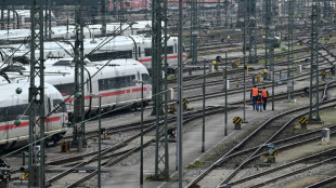 Una huelga paraliza el tr&aacute;fico ferroviario en Alemania