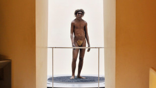 Fossils discovered in Morocco shed light on our African roots