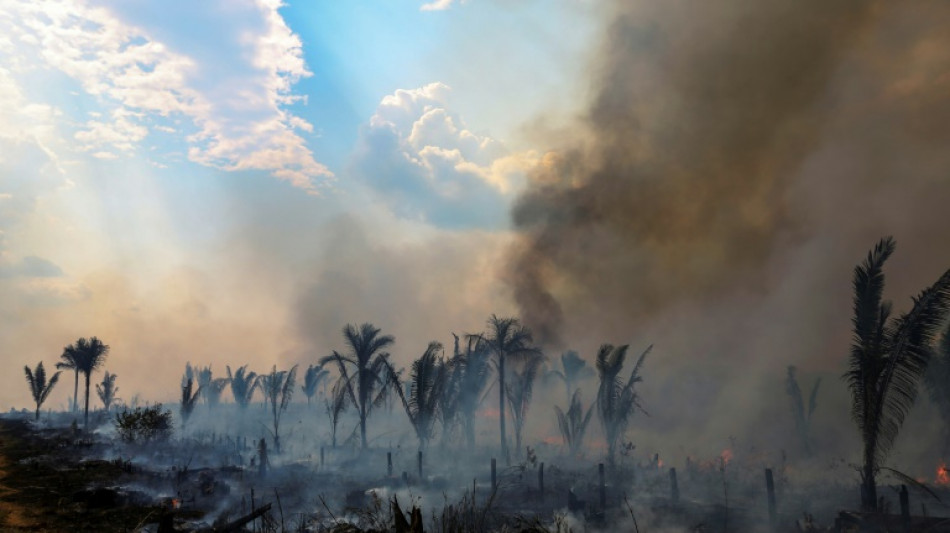 South American summit seeks roadmap to save Amazon