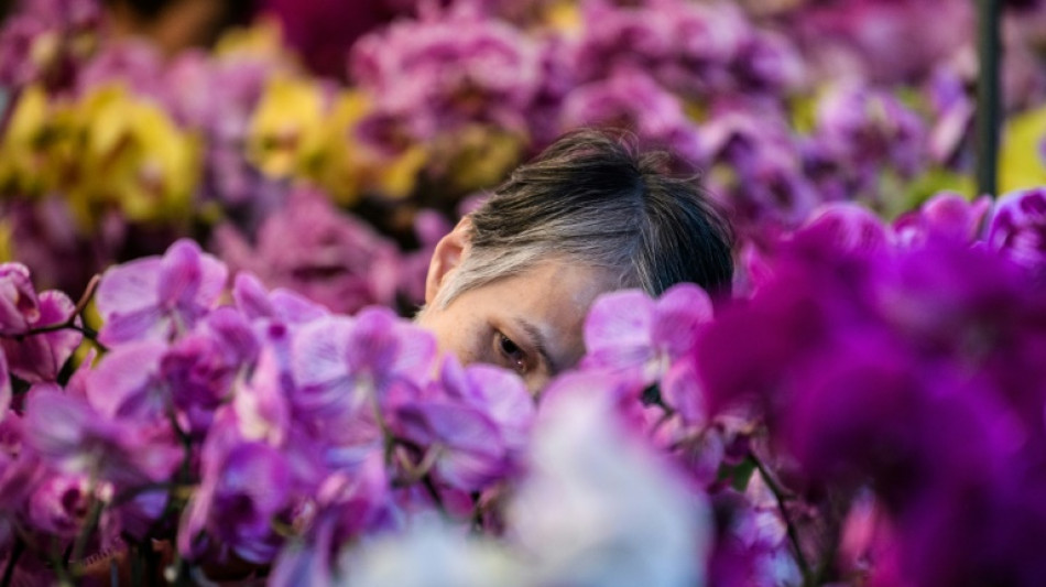 Mehr Lohn f&uuml;r Floristinnen und Floristen - aber nur in Westdeutschland