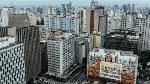 Mural gigante com cinzas da Amaz&ocirc;nia leva luta ambiental ao centro financeiro do pa&iacute;s