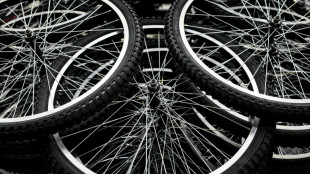 ADAC: Nur zwei von zehn Pedelecs f&uuml;r unter 2000 Euro sind gut