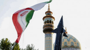 Deutsche Beziehungen zum Iran auf dem Pr&uuml;fstand