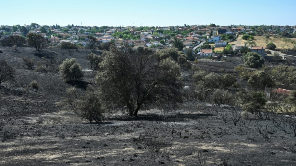 El incendio forestal que envolvi&oacute; Madrid en una nube de humo est&aacute; casi bajo control