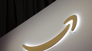 Amazon behind massive private gas plant for new data centers