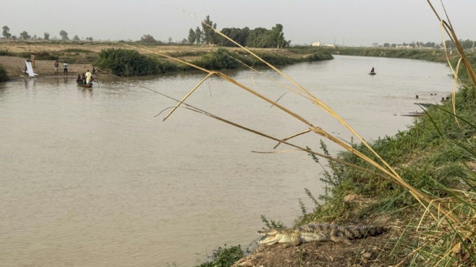 "Les oiseaux ne viennent plus": le nord du Nigeria face &agrave; la perte de biodiversit&eacute;