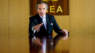 El jefe del OIEA se reunir&aacute; con Putin para hablar sobre la planta nuclear de Zaporiyia
