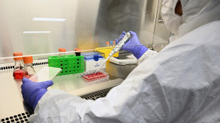 Prima alleanza tra aziende farmaceutiche per inclusivit&agrave; Lgbtq+