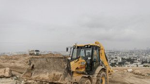 Economia israelense precisa dos trabalhadores palestinos, diz l&iacute;der empresarial