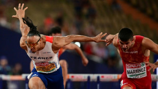 Euro d'athl&eacute;tisme: Martinot-Lagarde 2e, Kwaou-Mathey 3e sur 110 m haies