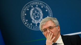 Italia gravar&aacute; los beneficios "excesivos" de la energ&iacute;a 