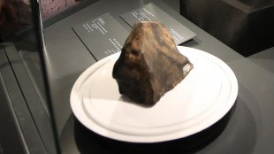 Il pi&ugrave; grande meteorite marziano venduto a 5,3 milioni dollari
