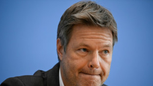 Face &agrave; la crise &eacute;nerg&eacute;tique, l'&eacute;conomie allemande plie mais ne rompt pas