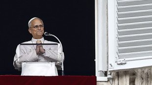 Il Papa all'Angelus, 'ora riprender&ograve; le attivit&agrave; gradualmente'