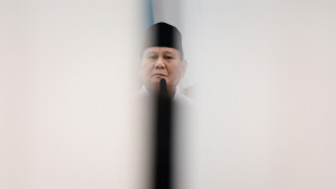 Prabowo, un pr&eacute;sident soucieux de rendre l'Indon&eacute;sie plus visible