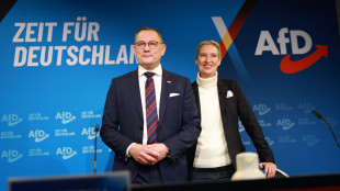 Media, Afd fa ricorso contro i Servizi in Germania
