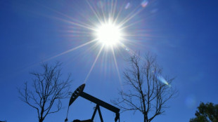 &Ouml;lpreis steigt wegen Ukraine-Kriegs auf mehr als 110 Dollar