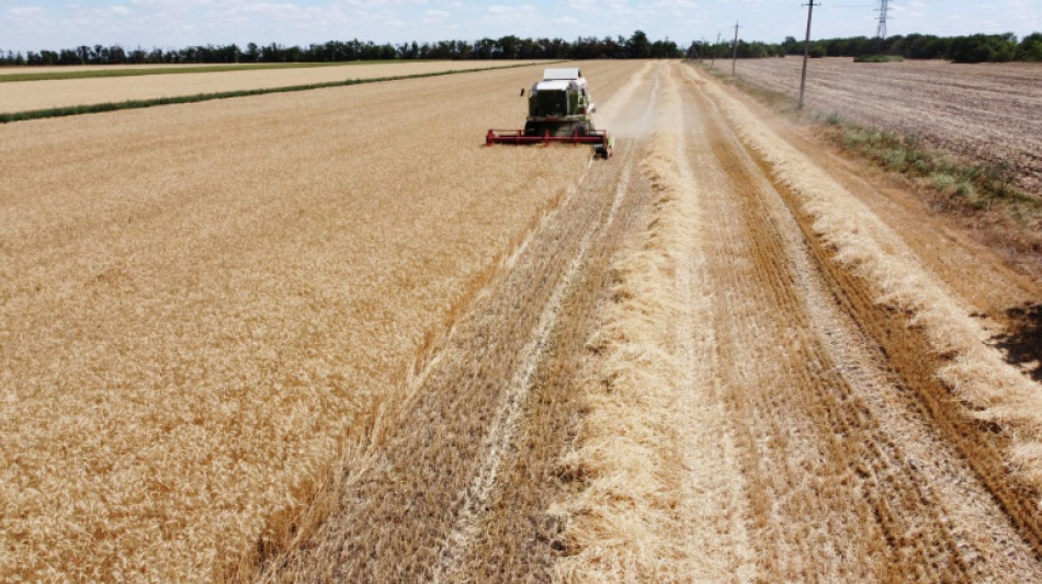Ukraine : accord sur l'exportation des c&eacute;r&eacute;ales, poursuite des bombardements