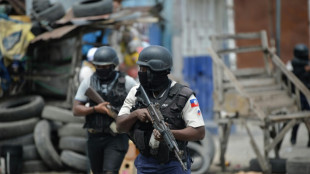UN Security Council appeals for support for Haiti police