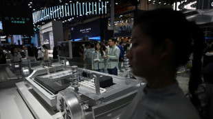 "Sch&auml;dlich f&uuml;r eigene Interessen": China warnt EU vor Schutzz&ouml;llen auf E-Autos