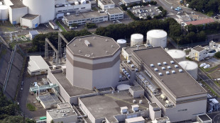 Giappone: 38 mld euro per la sicurezza delle centrali nucleari