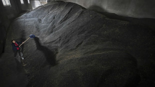 C&eacute;r&eacute;ales: les voisins occidentaux de l'Ukraine toujours vent debout