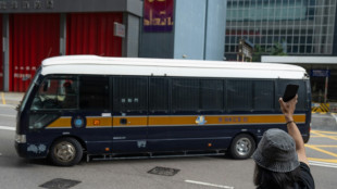 Des dessins de moutons et de loups valent 19 mois de prison &agrave; cinq Hongkongais