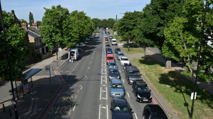 Nuevas huelgas afectan a los ferrocarriles brit&aacute;nicos y al transporte a&eacute;reo en Europa