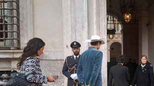 Il fratello di Musk contro i dazi, 'una tassa sui consumatori'