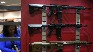 US-Abgeordnete stimmen f&uuml;r Verbot von Sturmgewehren