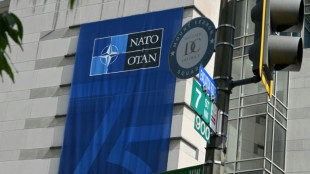 L'Otan r&eacute;unie en sommet accueille Zelensky &agrave; Washington sur fond d'incertitude politique