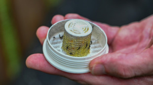 Pour combattre les moustiques, une entreprise am&eacute;ricaine en rel&acirc;che 600.000 dans les jardins