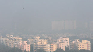 A Delhi mese di ottobre 2024 &egrave; stato il pi&ugrave; caldo da 13 anni