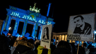 Ir&aacute;n encarcela a 400 personas por participar en las protestas