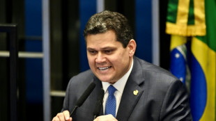 Oficialismo y oposici&oacute;n de Brasil coinciden en la elecci&oacute;n de los l&iacute;deres del Congreso