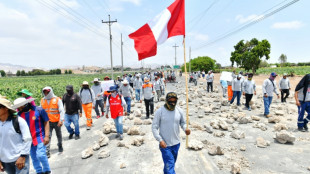 Fracasa adelanto de elecciones en un Per&uacute; con graves protestas y miles de turistas varados