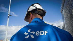Renationalisation contest&eacute;e d'EDF: la justice rejette le recours des petits actionnaires