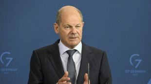 Scholz sichert Finnland deutsche Unterst&uuml;tzung bei Aufnahme in die Nato zu