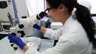 Verso i materiali del futuro grazie a gocce di cristalli liquidi