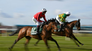 Gestohlenes preisgekr&ouml;ntes Rennpferd aus Niedersachsen in Stall geschlagnahmt