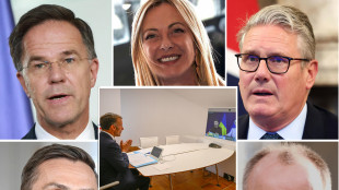 Meloni a Washington, pranzo alla Casa Bianca con i leader