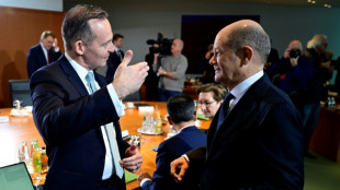 Minister Wissing: Musk hat bei Unterst&uuml;tzung f&uuml;r AfD eigenen Vorteil im Auge