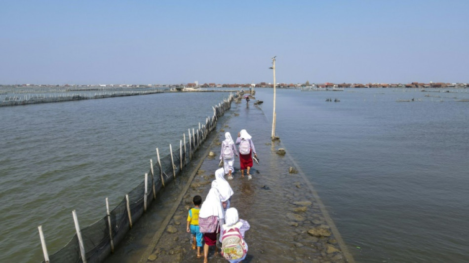 'Slow disaster': Indonesians in sinking village forced to adapt