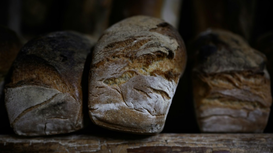 Studie: Abw&auml;rme k&ouml;nnte bis zu zehn Prozent des Berliner W&auml;rmebedarfs decken