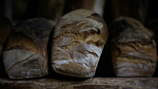 Studie: Abw&auml;rme k&ouml;nnte bis zu zehn Prozent des Berliner W&auml;rmebedarfs decken