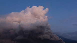 Alerta m&aacute;xima en Indonesia por la erupci&oacute;n del volc&aacute;n del Monte Semeru