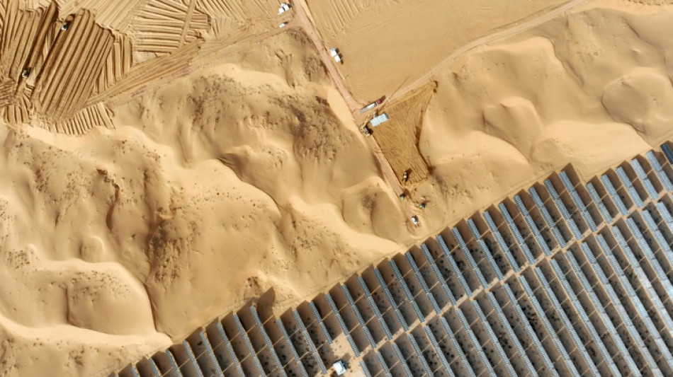 Weltweite CO2-Emissionen im Energiebereich erreichen 2023 neuen H&ouml;chststand