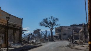 Biden se rendra lundi prochain &agrave; Hawa&iuml;, endeuill&eacute; par des incendies meurtriers