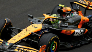 F1: Norris gagne le sprint du GP du Br&eacute;sil, Verstappen 3e